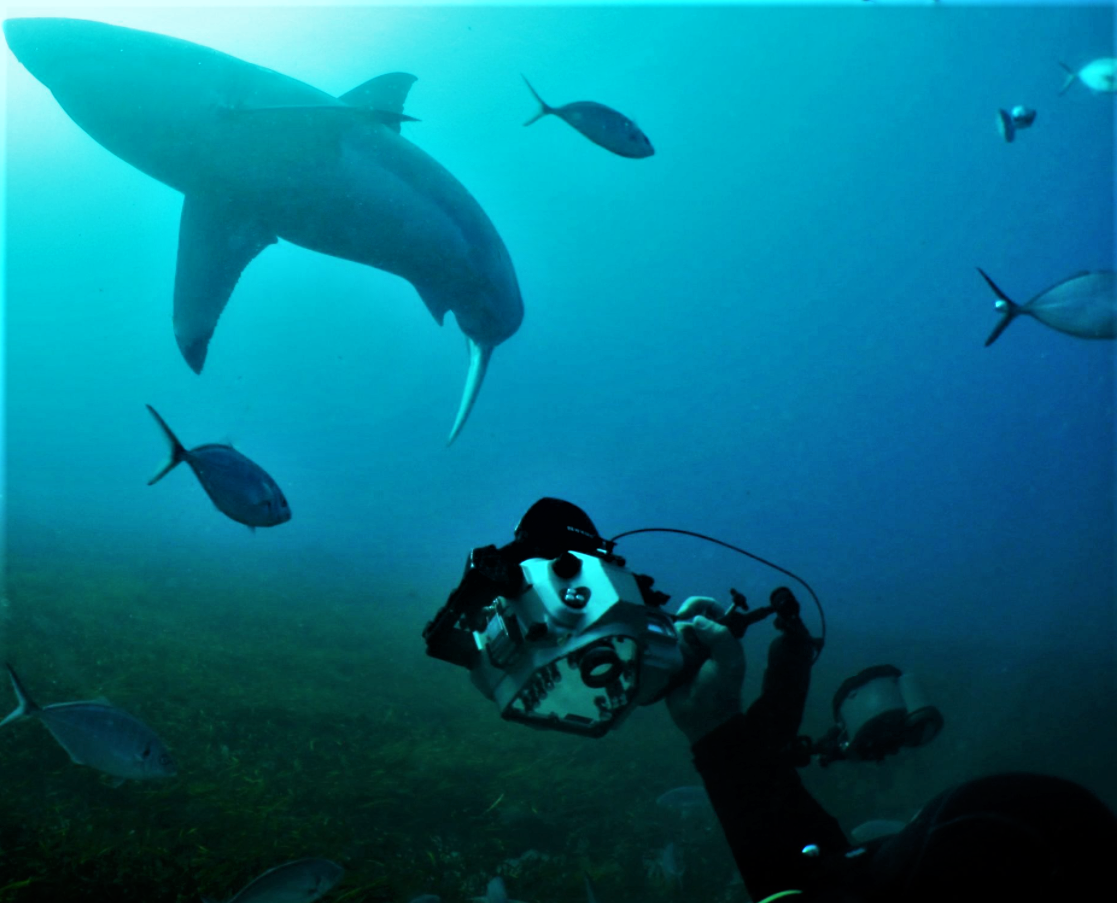 Hobby Photography <br>